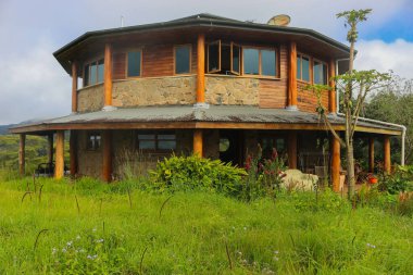 Avustralya 'nın doğadaki yuvarlak evinin güzel manzarası.