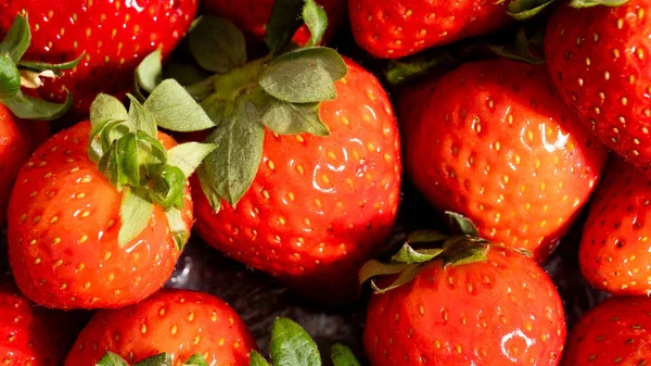 Closeup Shot Fresh Juicy Strawberries — Stock Photo, Image