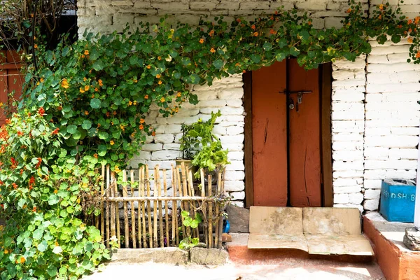 View Entrance House Surrounded Ivy Nasturtium Tropaeolum Flowers — Stock Photo, Image