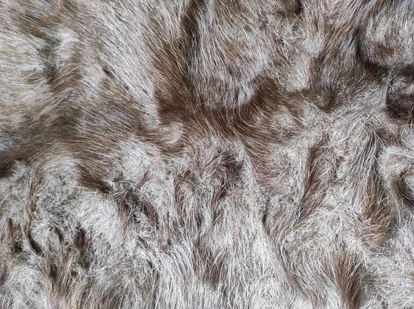 Closeup Brown White Reindeer Fur Texture — Foto de Stock