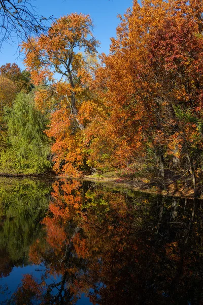 Vertical Shot Red Green Trees Autumn Reflection Lake — Stockfoto