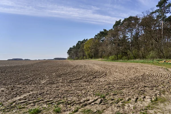 A beautiful view of grassland and aligned green trees against a blue cloudy sky on the horizon in Poznan, Poland