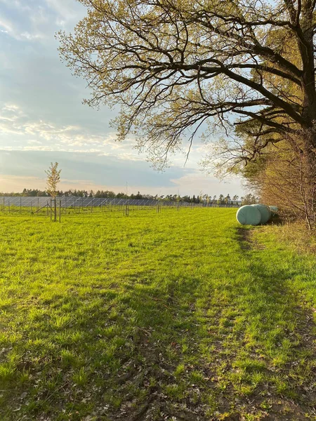 Natural View Straw Bales Agricultural Field Countryside Cloudy Sky — Stock Photo, Image