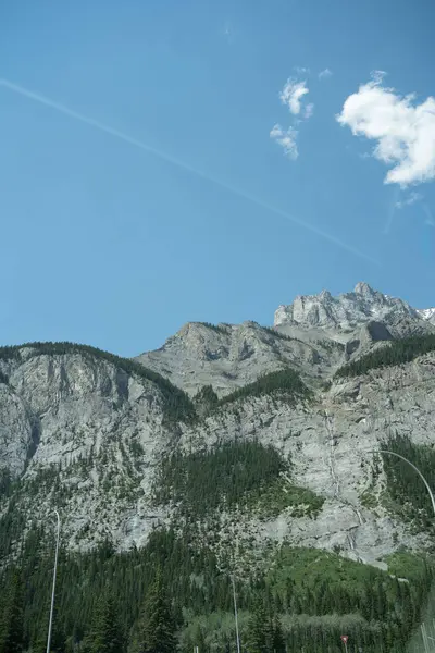 Tiro Vertical Uma Montanha Rochosa Com Árvores Banff National Park — Fotografia de Stock