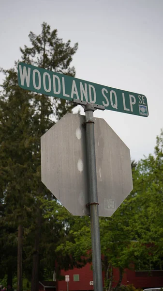 Closeup Sign Showing Woodland Street Column — Stok fotoğraf