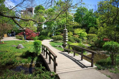 A small bridge above a river surrounded with greenery in a Japanese garden