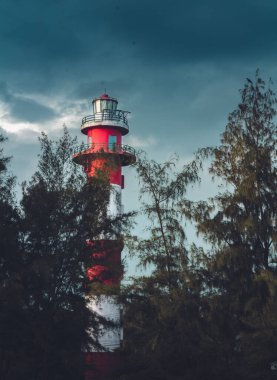 The lighthouse among the trees at the beach