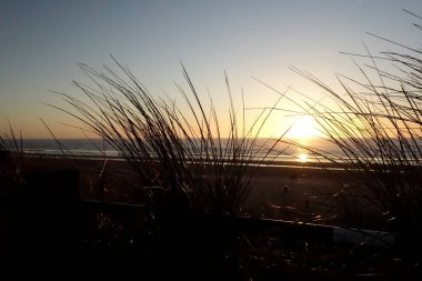 Kuzey Denizi sahillerinde güzel bir gün batımı, ön planda marram çimleri (yatay), Zandvoort, Kuzey Hollanda, Hollanda