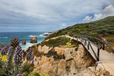 Garrapata Eyalet Parkı 'nda güzel bir köprü görüntüsü.