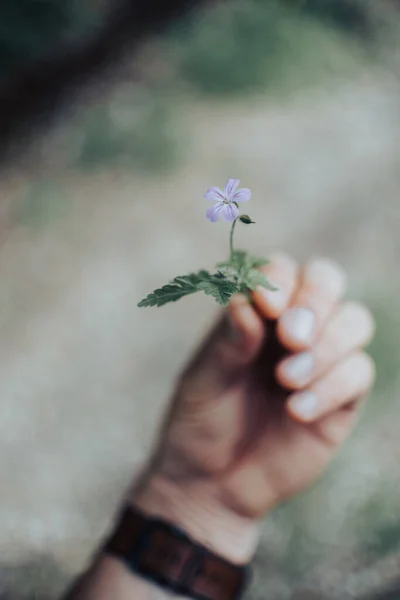 小手牵着小花的手的垂直特写 — 图库照片