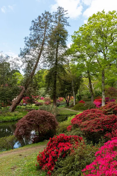 A vertical shot of a beautiful spring scenery at Exbury Gardens, New Forest, Southampton, UK