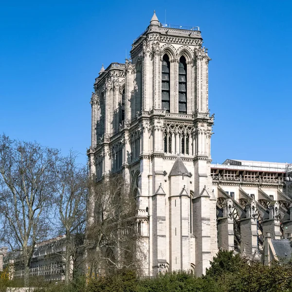 Paříž Katedrála Notre Dame Typické Fasády Ile Cite — Stock fotografie