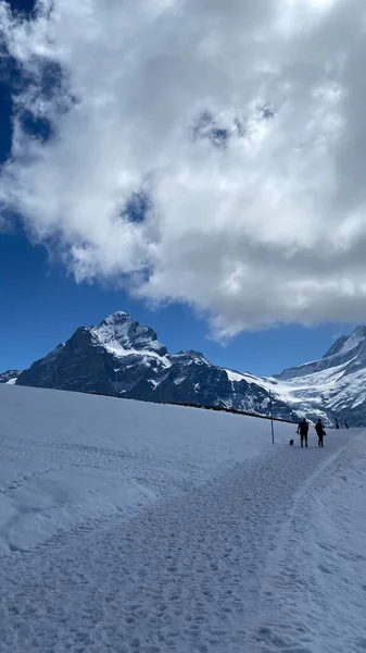 Sviçre Deki Güzel Karlı Dağların Dikey Görüntüsü — Stok fotoğraf