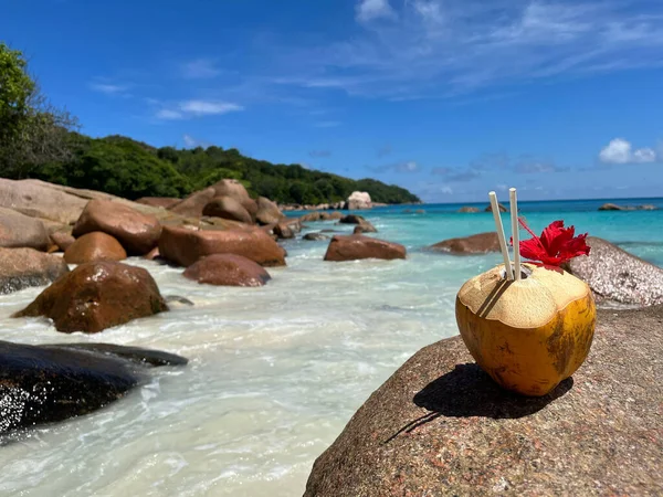 Beautiful Shot Sunny Beach Scene Turquoise Seawater Cliff Stones Coconut — Stok fotoğraf