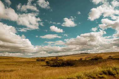 Bulutlu gökyüzü arka planında kırsal bir alanda çayır manzarası
