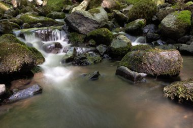 A breathtaking shot of a beautiful small waterfall cascade in a forest in Rhon, Germany