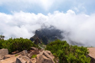 Bereketli yeşil bitki örtüsüyle nefes kesici bir manzara ve mavi arkaplanda sisli kayalık dağlar.