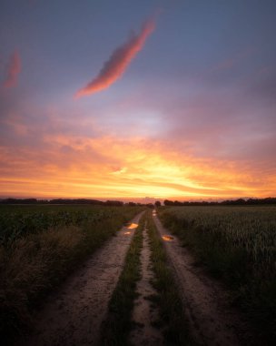 A path in a meadow at sunset or sunrise