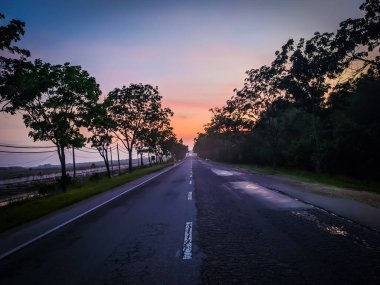 A beautiful shot of an empty asphalt road with light signs between trees with a sunset orange sky