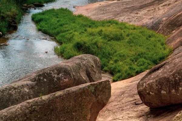 Large Clump Grass Growing Rock River — Stock Photo, Image