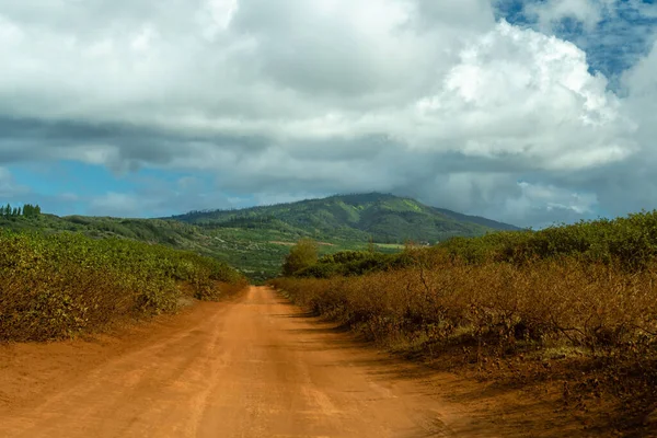 Volcanic Red Dirt Road Hawaiian Island Lanai Kanepuu Highway Runs — Zdjęcie stockowe
