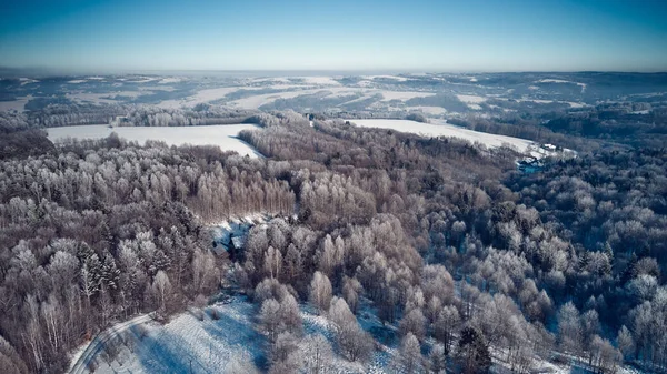 A beautiful aerial shot of a winter forest landscape