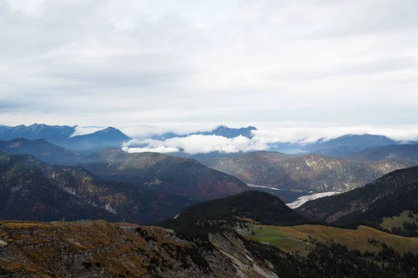 Aerial Shot Mountain Range Alps Colorful Coniferous Forests — Fotografia de Stock