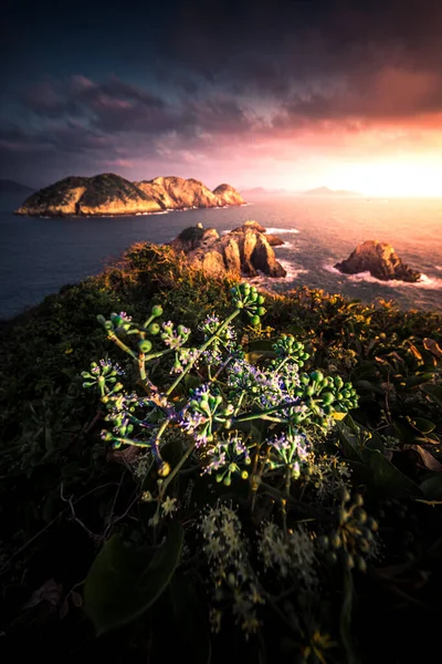 Vertical Aerial View Cliffs Water Sunset Hong Kong — Fotografia de Stock