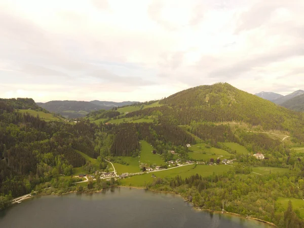 Luftudsigt Søen Lunzer Med Bjerge Træer Siden Østrig - Stock-foto