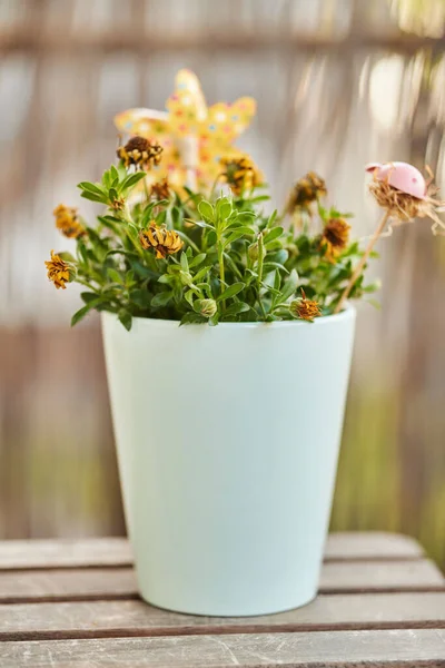 Vertical Closeup Shot Withered Yellow Flowers White Pot Home —  Fotos de Stock