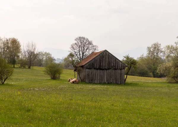 Rural Cottage Middle Green Grass Green Trees Sunny Day Clear — Stockfoto