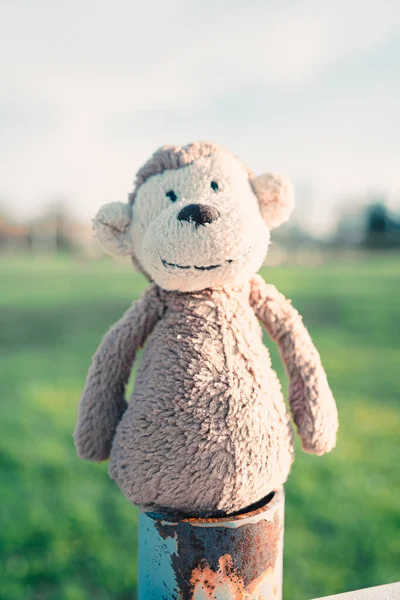 A vertical shot of a fluffy monkey toy in a blurred background