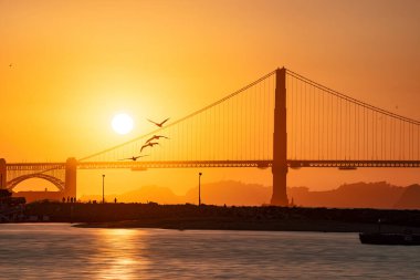 Güneşin üzerinde uçan bir martı silueti denizin üzerinde Golden Gate Köprüsü 'nün arkasında batıyor.