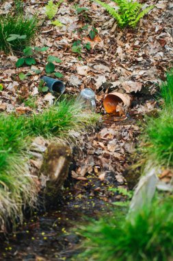 Ormanda bir avuç çöp - çevre kirliliği kavramı