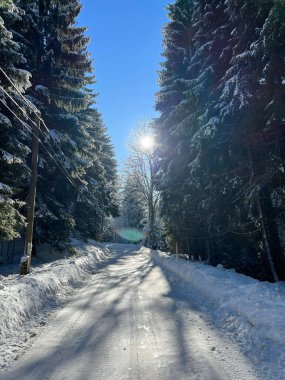 Parkın ortasında dikey karla kaplı bir yol.