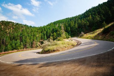 The curved road surrounded by green trees.