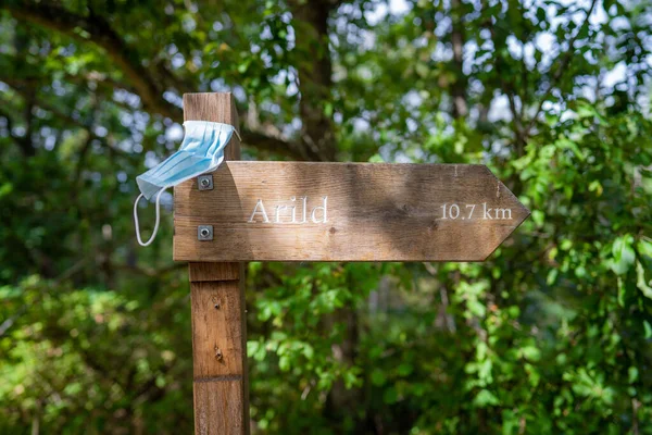 Closeup Shot Wooden Directional Sign Facial Mask Showing Way Arild — 스톡 사진