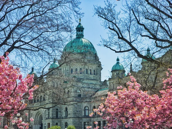 Beautiful Shot Blossoming Trees Front Legislative Assembly British Columbia Blue — Stock Photo, Image