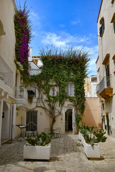 Porta Uma Casa Gallipoli Uma Antiga Aldeia Província Lecce Itália — Fotografia de Stock