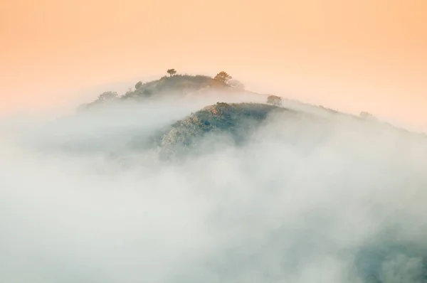 Poranna Mgła Śródziemnomorskim Krajobrazie Estremadurze Hiszpania — Zdjęcie stockowe