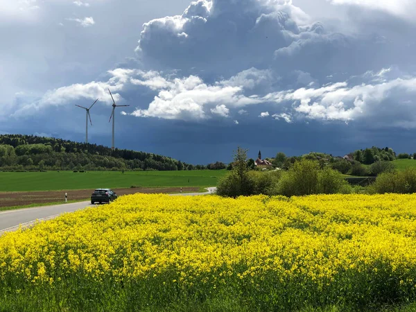 ドイツの読み取りの横に花のフィールドを持つ嵐に車の運転の美しいショット — ストック写真