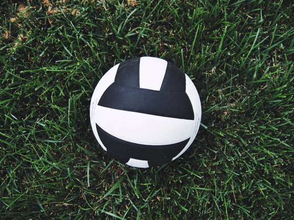 Black White Volleyball Sitting Grass Centered — Stock Photo, Image