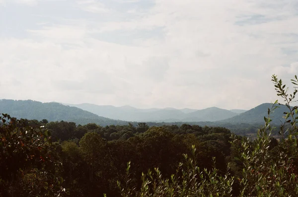 Beautiful Landscape Thick Trees Mountain Ranges Background — Zdjęcie stockowe