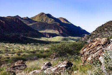 Güneşli bir günde mavi bulutsuz bir gökyüzünün altında yeşil ağaçların ve kayaların manzarası.
