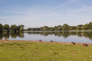 A beautiful view of a calm lake surrounded by green trees on a sunny day
