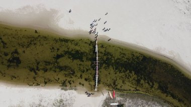 An aerial view of a wide river with a long bridge on it and crowd on the sandy bank