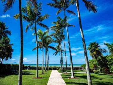 A walking trail on Naples Beach with palm trees in Sarasota, Florida