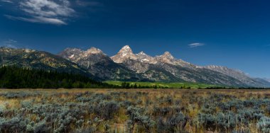 A beautiful view of mountains from a field in Grand Teton, Wyoming, USA
