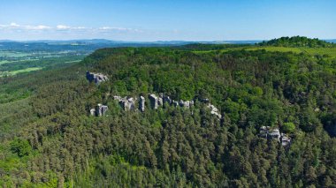 Mavi arkaplanı olan yeşil bir ormanın güzel manzarası