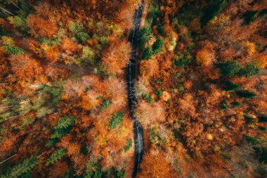A top view of the road through the colorful autumnal forest